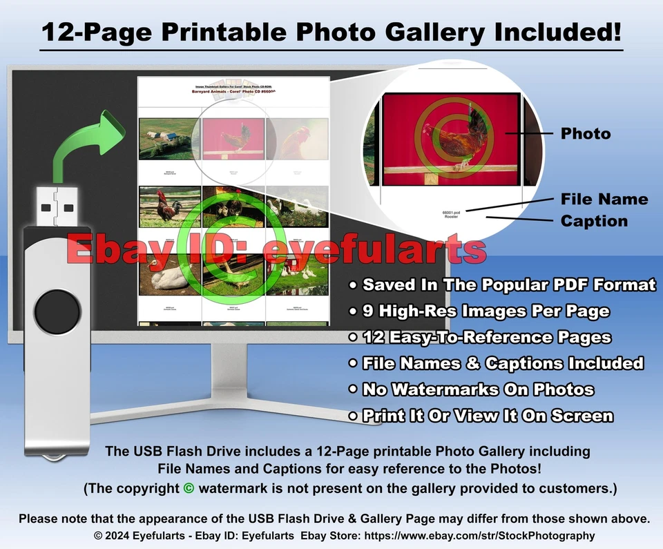 Barnyard Animals Corel Royalty-Free Stock Photo CD-ROM Disk & USB - Image 4 of 4