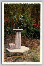 Postcard Florida Lake Wales Mountain Lake Sanctuary Drinking Fountain  H951