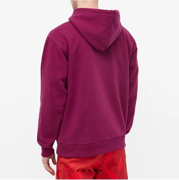 Kaws x The North Face TNF Pamplona Purple Hoodie Sweater (XS Kaws x The North Face TNF Pamplona Purple Hoodie Sweater (XS