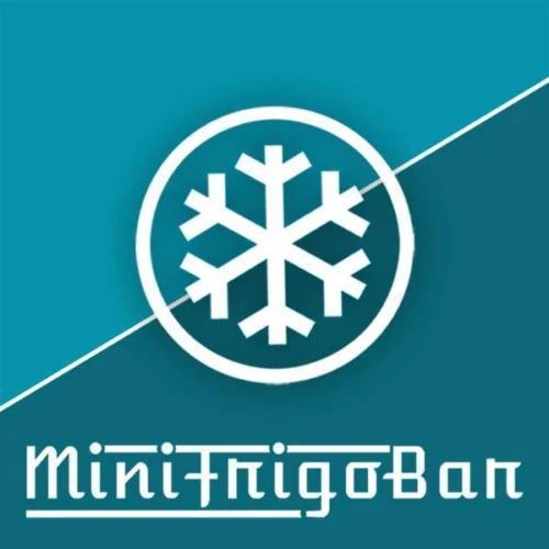 Mini Frigo Portatile Piccolo con doppia Alimentazione a 12V 220V per Auto e Casa - Immagine 2 di 4