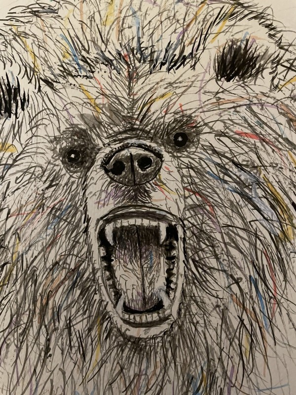 Angry Grizzly Wall Art Collectibles Original Pastel Wildlife Nature Carnivore