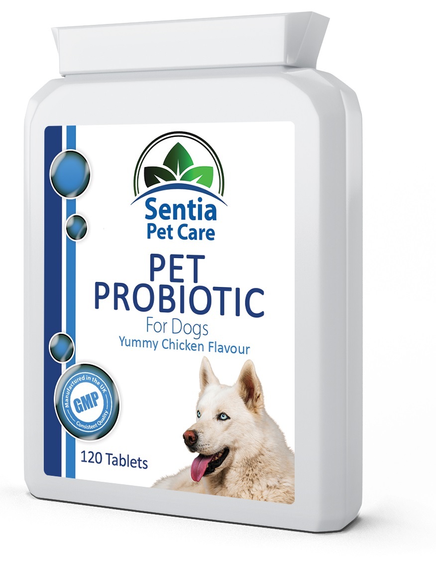 Do Probiotics Help With Bad Breath In Dogs