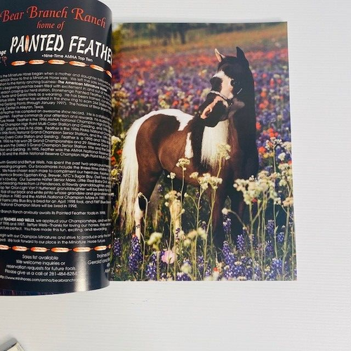 Miniature Horse World Magazine Bundle American Horse Assoc Equine Vol13 4-6 1997 - Picture 13 of 19