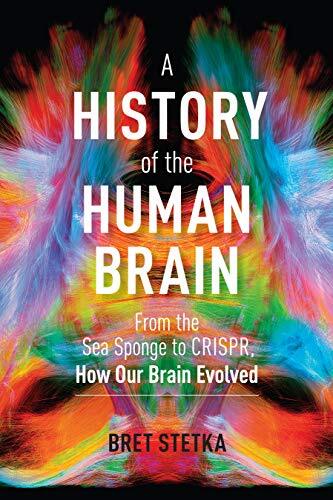 History of the Human Brain : From the Sea Sponge to CRISPR, How Our Brain ... - Image 3
