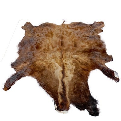 Glacier Wear First Quality Buffalo Bison Robe/Hide/Rug #1754