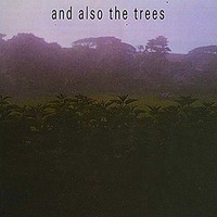 And Also The Trees - Cd - G1398Z