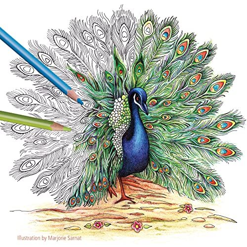 STAEDTLER Colored Pencils Triangular Barrel 4mm 72 Pieces 1278CM72A6