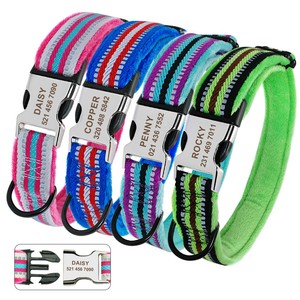 marityn dog collar
