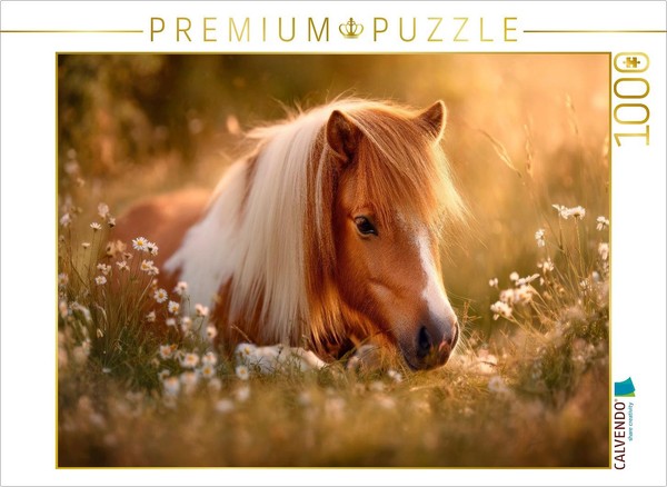 Calvendo Puzzle Shetland Pony - Quiet Summer Moments | 1000 Pieces, Finished Siz-image