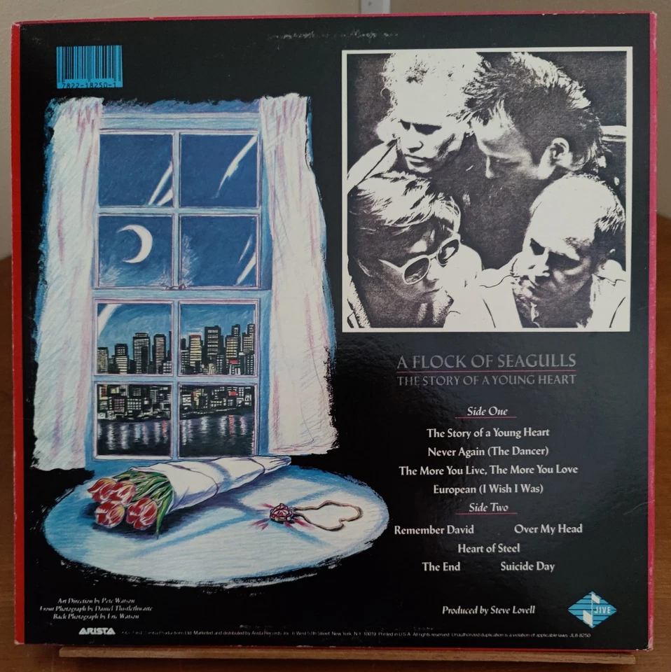 Flock Of Seagulls – Story Of A Young Heart - Vinyl LP Jive JL8-8250 - 1984 - NM! Foto 2 de 4