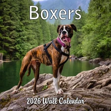 2026 Boxers Monthly Wall Calendar | 12" x 24" | Dogs Calendar September 2025-