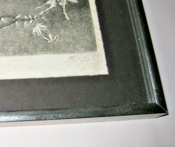 Picture 7 of 7