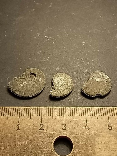Lot Ammoniten Fossilien Versteinerung Deko alte Sammlung unbestimmt #1 - Bild 2 von 2