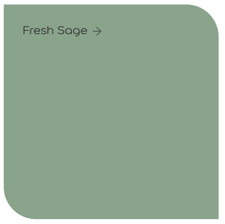 Dulux Easycare Bathroom Paint 1L moisture resistant 220 colours TINTED to ORDER