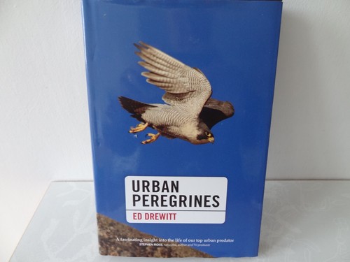 URBAN PEREGRINES gebundenes Buch von Ed Drewitt