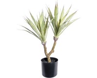 Kunstpflanze Agave HöHe: 48 Cm GrüN
