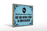 Holzschild Spruch 30X40 Cm Manchmal Trinke Ich Wasser Deko Schild