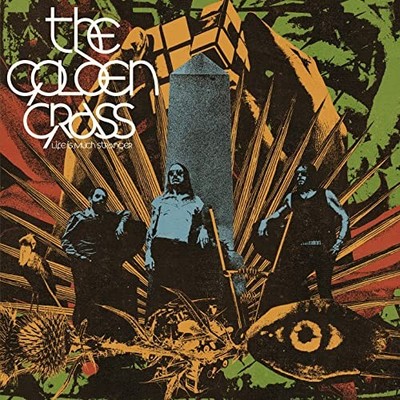 GOLDEN GRASS - LIFE IS MUCH STRANGER - Vinyl Record - J3z