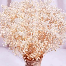 Dried Flowers Babys Breath Bouquet-17 inch 1600+ Ivory White... 