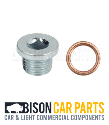 Oil Pan Sump Drain Plug Bung with Seal - fits Renault Clio Kangoo Megane Trafic
