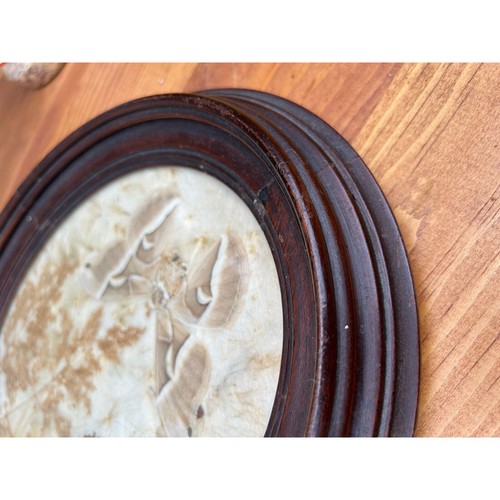 Vintage pressato farfalla e fiore semplice cornice ovale legno vetro a bolle - Foto 17 di 18