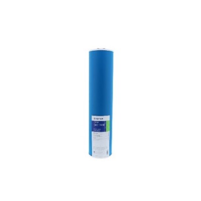 Pentek GAC20-BB GAC-20BB 20'' Big Blue GAC Water Filter, 155249 155249-43