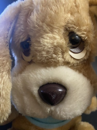 Vintage Critter Sitters Animal Fair Sad Eyes Puppy Dog Plush Doll 10", 1983 - Picture 8 of 9