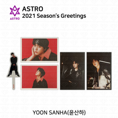 astro シーグリ　2021 ASTRO 2021 Season's Greetings Postcard Calendar Mini Photo