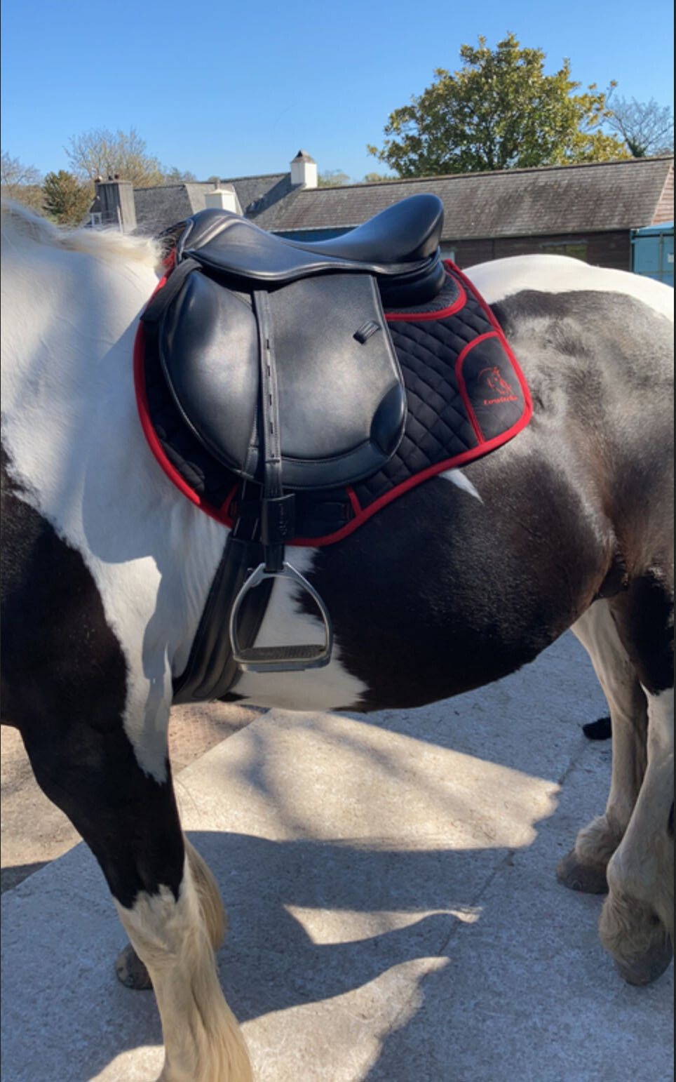 Treeless ANTI SLIP spine clearance saddle pad numnah Easytrek Torsion