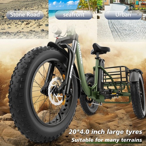 Hidoes ET1 3-Rad Elektrofahrrad 750W 20 Zoll Elektro Dreirad E-Bikes mit Korb - Bild 15 von 24