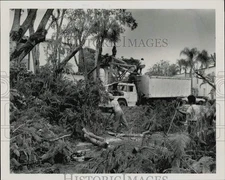 1990 Press Photo Workers pick up trees at Spanish Trace condominiums - lra48701