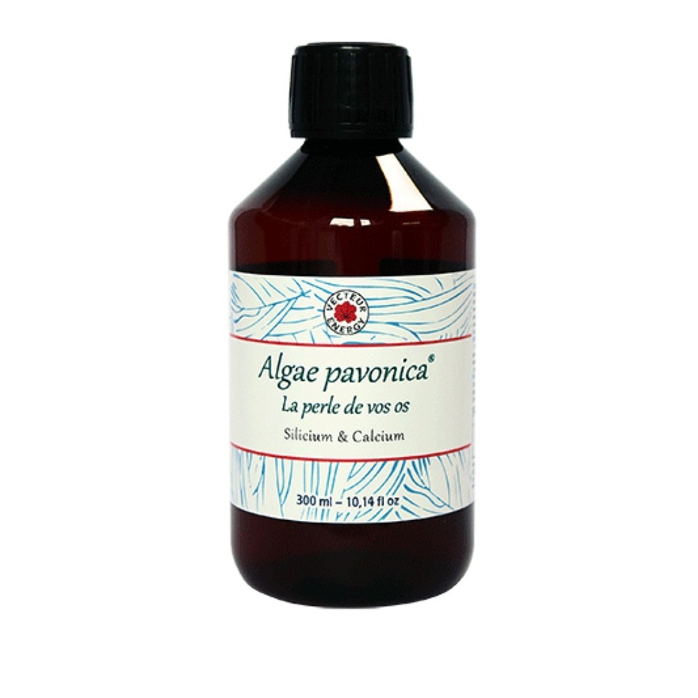 Extrait de Padina pavonica 300ml ALGAE Vecteur Energy : votre rituel vitalité matin et soir
