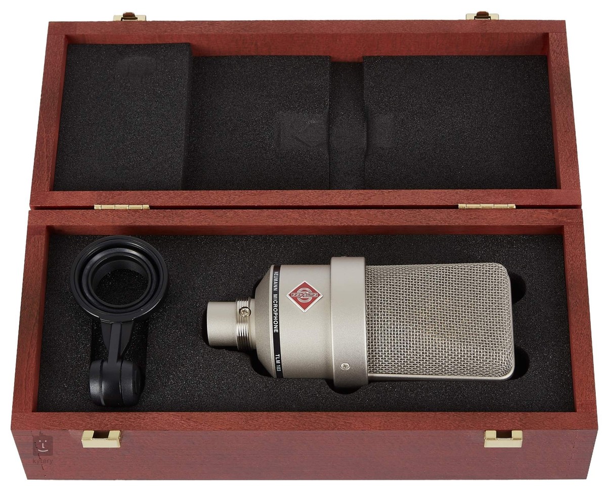 Neumann TLM 103 Mic (Nickel) with EA 4 Shockmount | eBay