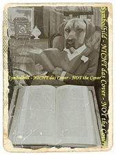 The Grapes of Wrath, An Jeffares