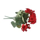 Bild 5 von 12