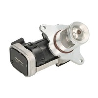 BorgWarner (Wahler) 7625D Agr-Ventil FüR