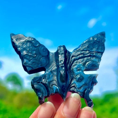 66G Natural Gobi Agate Hand-carved Butterfly Crystal Mineral Healing Madagascar