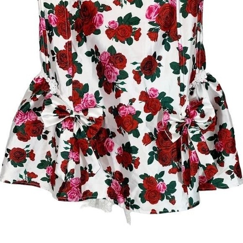 Dolls Kill Sugar Thrillz Womens Tender Romance Sleeveless Mini Dress Size XL - Picture 4 of 10