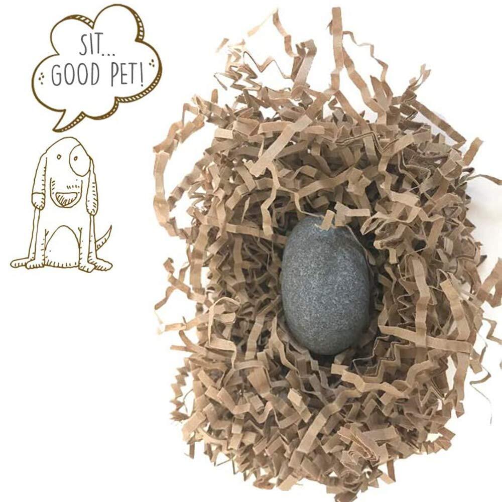 Pet Rock The Original by Gary Dahl