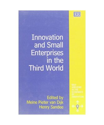 Innovation and Small Enterprises in the Third World