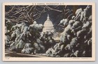 U.S. Capitol Snow Covered Trees Night View Washington D.C. Postcard