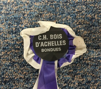 FLOT COCARDE TOURNOI EQUITATION HIPPISME CHEVAUX ETRIER DU CAMBRAISIS