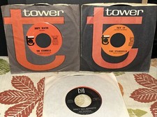 3x The Standells 45&rsquo;s:Don't Say Goodbye/Big Boss Man VJ,Dirty Water,Try It Tower
