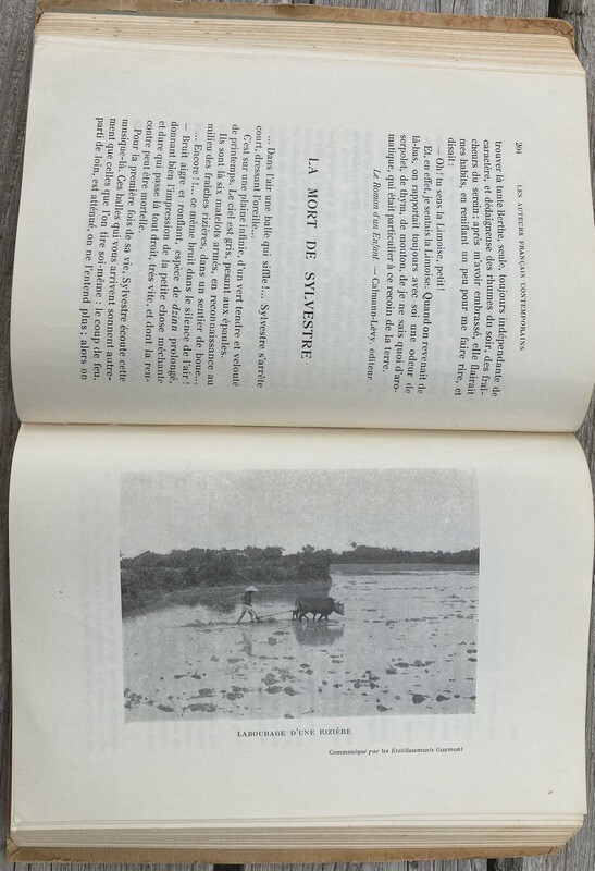 Picture 12 of 24
