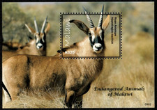 Malawi 2009 - Endangered Animals Antelope - Souvenir Stamp Sheet Scott #