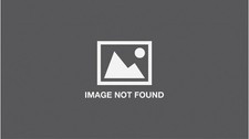 Stuart R. Kaplan Pamela Colman Smith Commemorative Set (Cards) (UK IMPORT)
