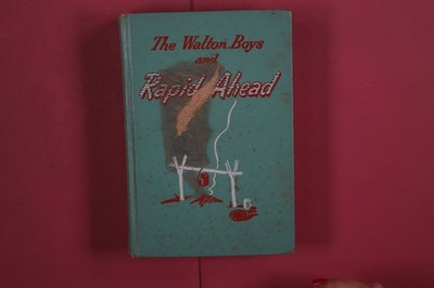 365754 Hal Burton THE WALTON BOYS AND RAPIDS AHEAD Whitman Publishing Company HC