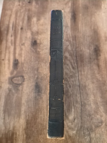 Heap O' Livin’ Hardcover Embossed Leather Bound Book - Foto 2 di 7