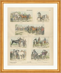 Horse Trading Nail Foal trade anreiten Munich images Arc 1166 Framed | eBay