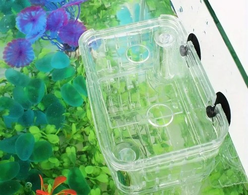 Aquarium Fish Tank Breeding Isolation Baby Fish Incubator - Picture 5 of 7
